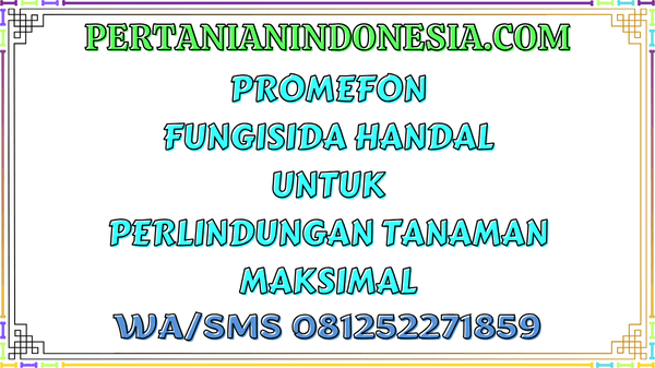 Promefon Fungisida Handal Untuk Perlindungan Tanaman Maksimal